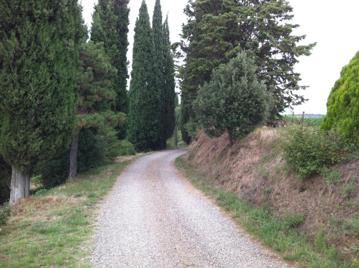 Agriturismo Fattoria Di Gratena アレッツォ エクステリア 写真