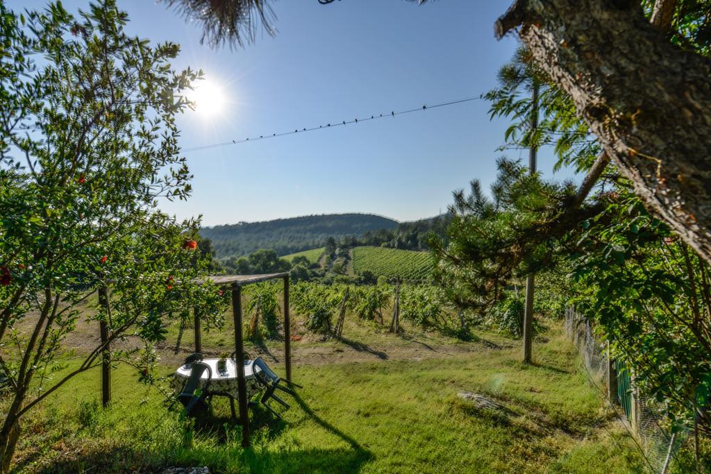 Agriturismo Fattoria Di Gratena アレッツォ エクステリア 写真