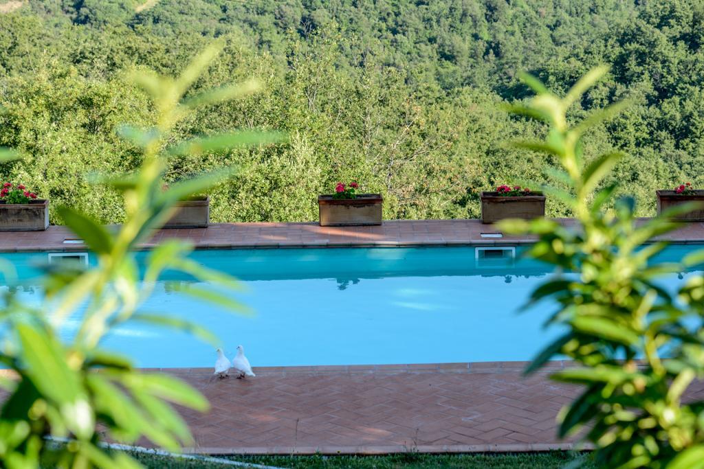 Agriturismo Fattoria Di Gratena アレッツォ エクステリア 写真