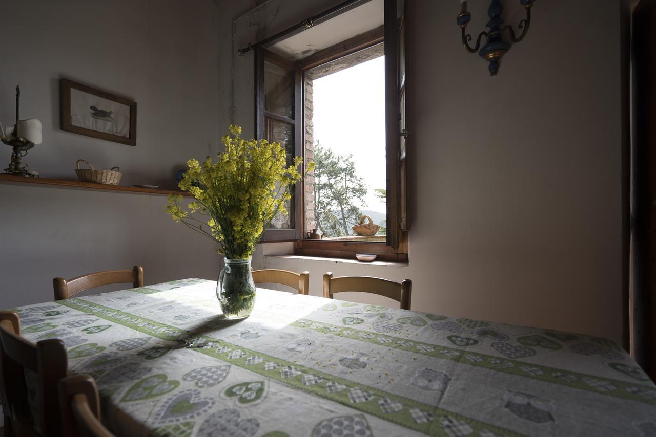 Agriturismo Fattoria Di Gratena アレッツォ エクステリア 写真