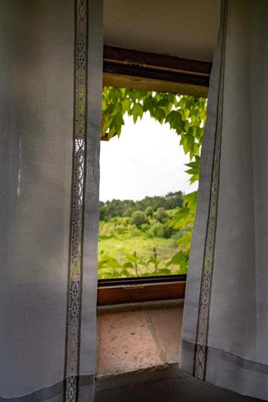 Agriturismo Fattoria Di Gratena アレッツォ エクステリア 写真
