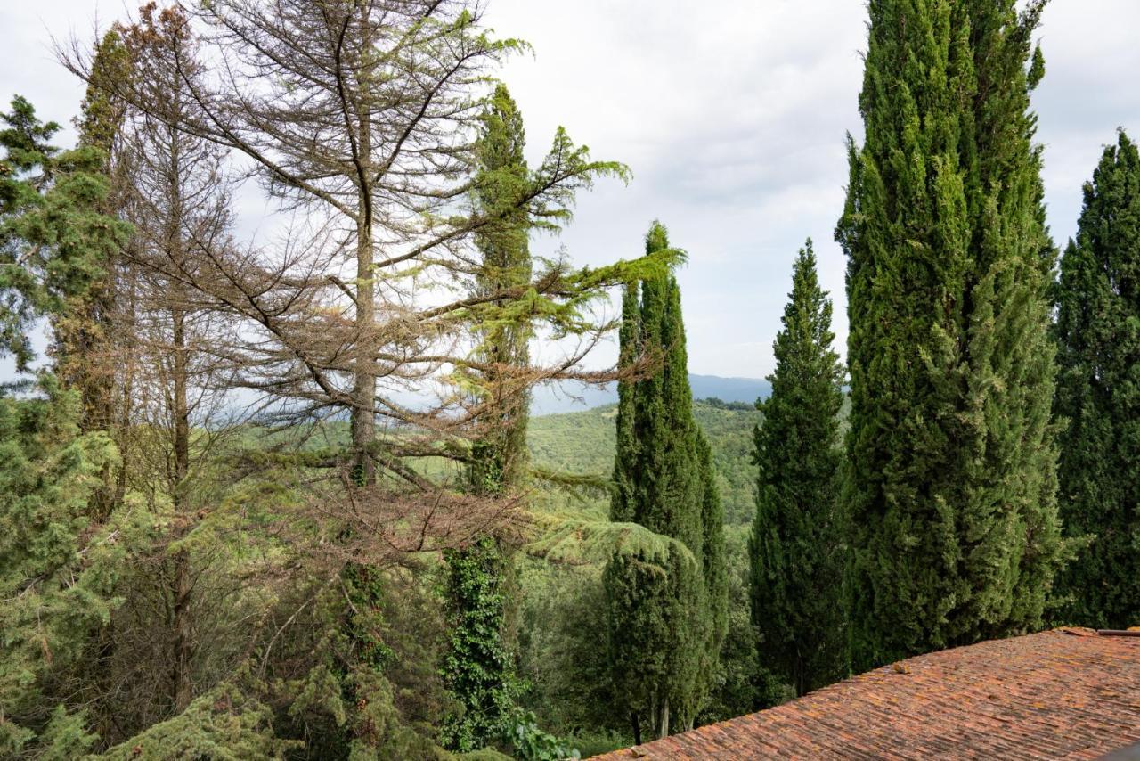 Agriturismo Fattoria Di Gratena アレッツォ エクステリア 写真