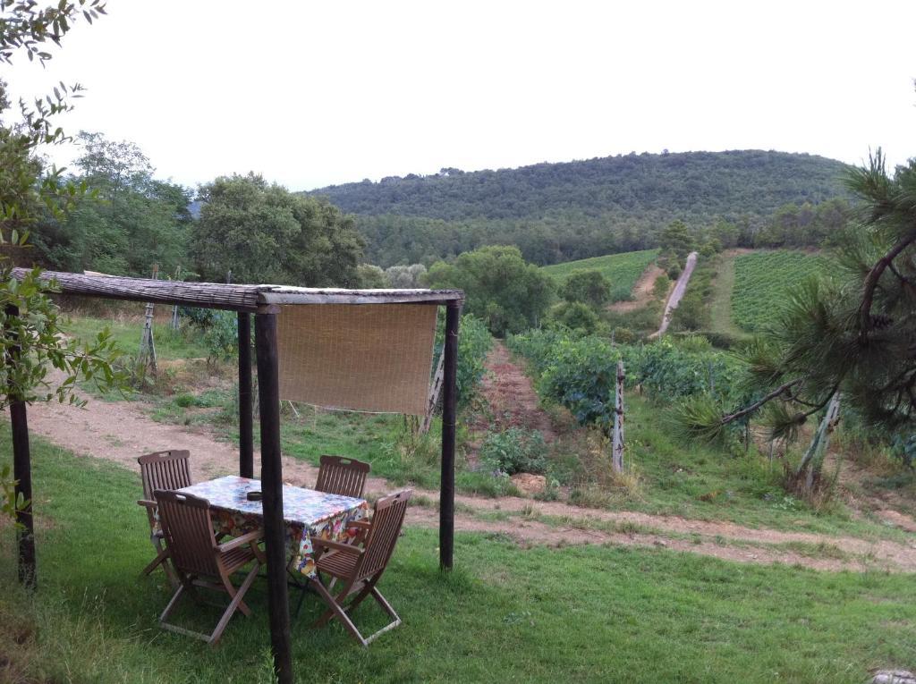 Agriturismo Fattoria Di Gratena アレッツォ エクステリア 写真