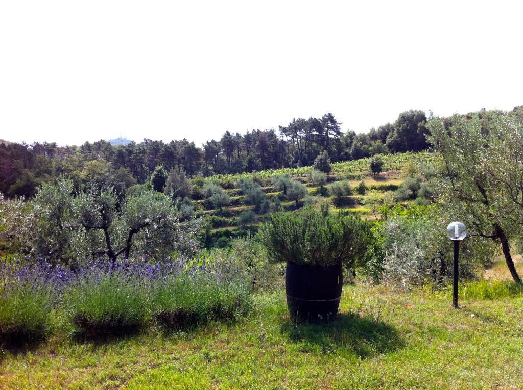 Agriturismo Fattoria Di Gratena アレッツォ エクステリア 写真